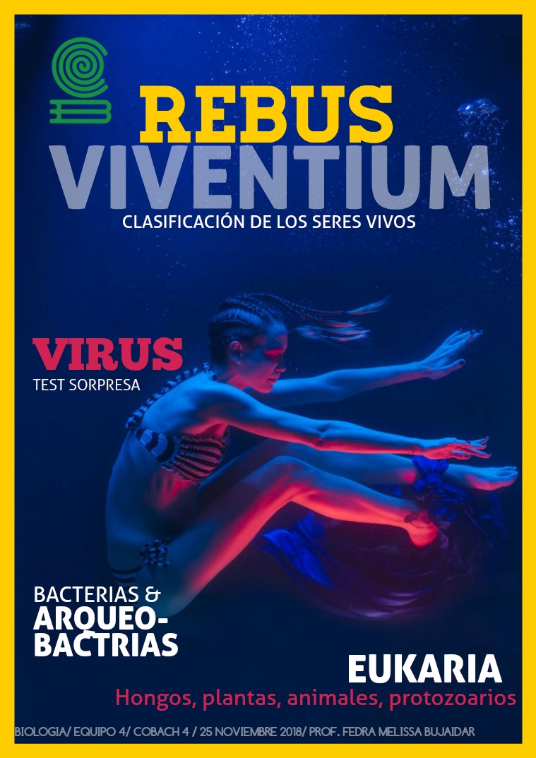 REBUS VIVENTUM 1