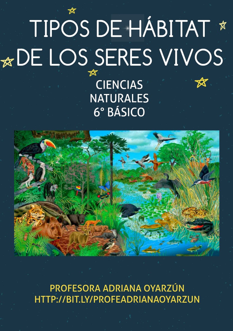 Tipos de Hábitat de los Seres Vivos