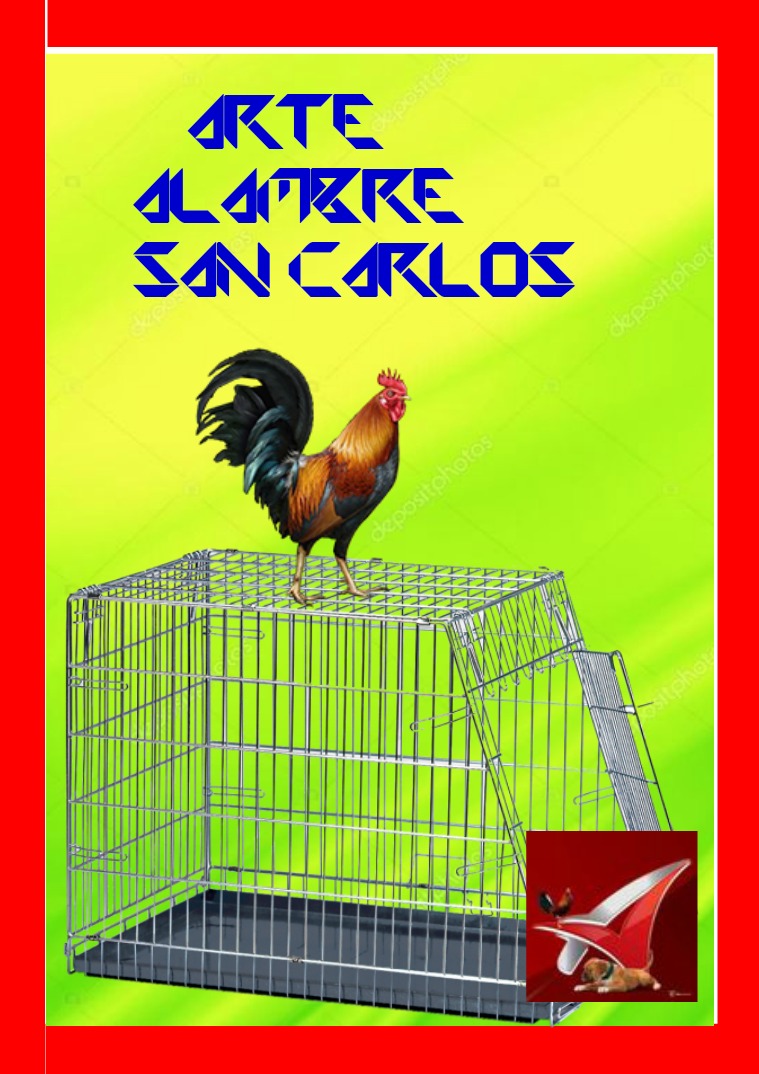 arte alambre san carlos jaula