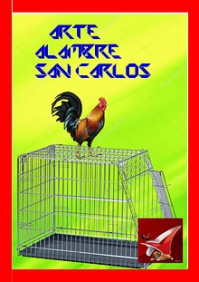 arte alambre san carlos