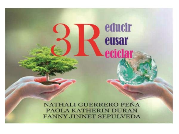 EDUCACION AMBIENTAL EJECUCION ejecucion