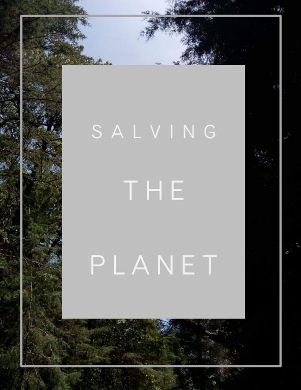 Proyecto Final Salving the planet