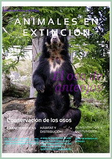 Animales en extincion