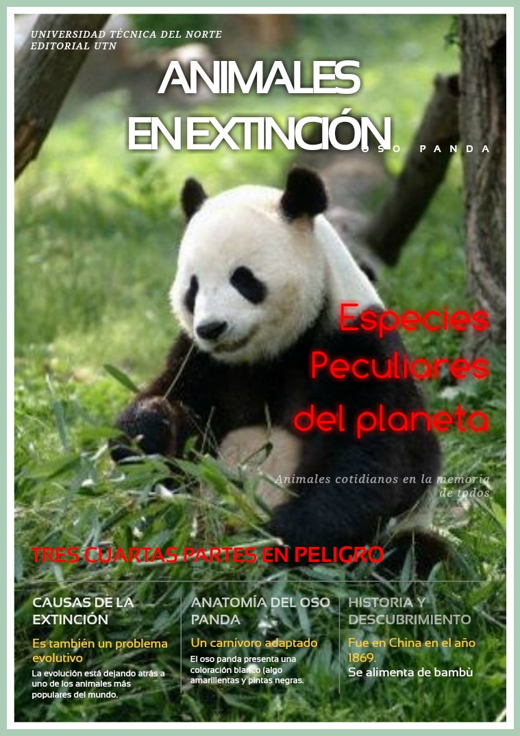 Animales en peligro de extinción-Oso Panda Volumen 1