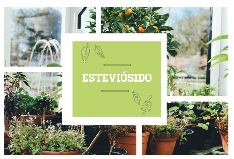 El esteviósido El esteviósido