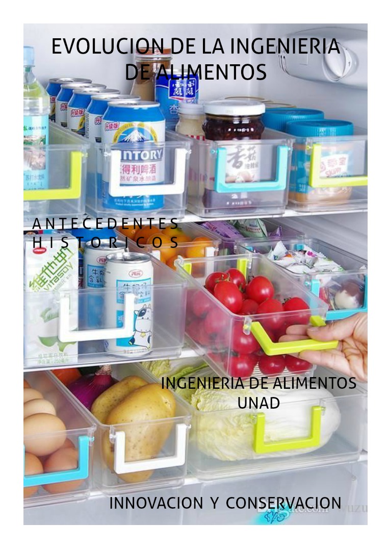 Mi primera revista evolucion de la ingenieria de alimento