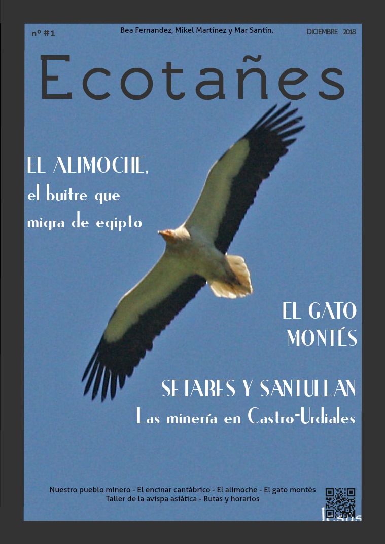 Ecotañes Ecolocados