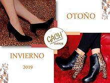 OTONO INVIERNO 2019