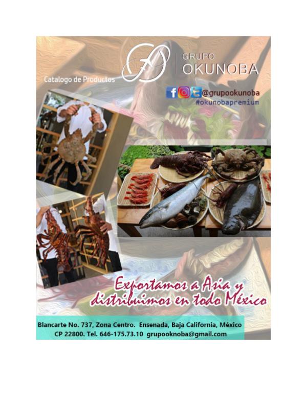 CATALOGO GRUPO OKUNOBA CATALOGO OKUNOBA VF 02 pdf