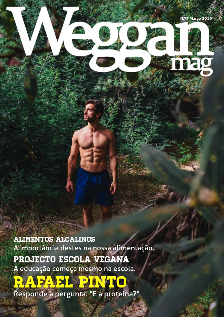 Weggan Março 2019