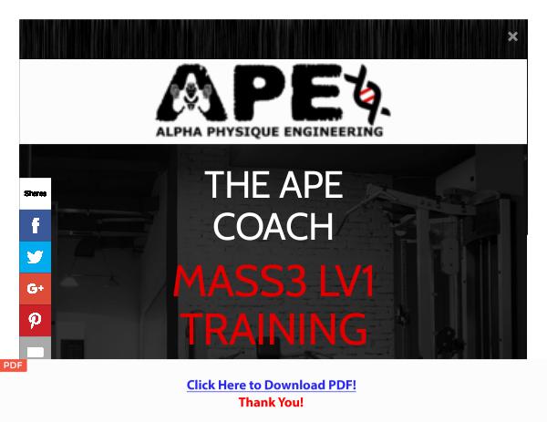 MASS3 LV1 TRAINING PROGRAM PDF