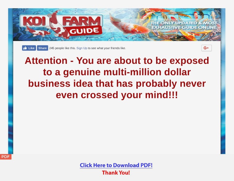 Koi Farm Guide [PDF]
