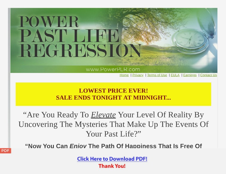 Power PLR Download [PDF]
