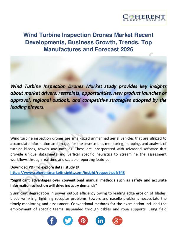 Wind Turbine Inspection Drones Market