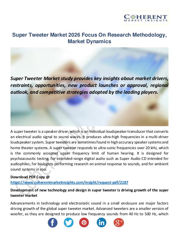 Super Tweeter Market