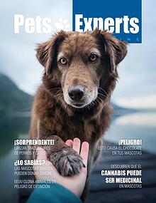 Pets Experts Magazine