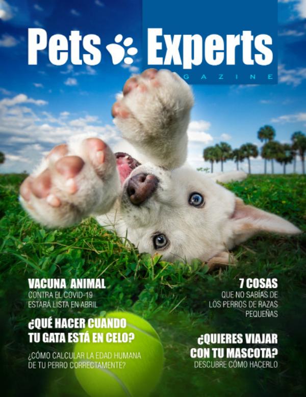 Pets Experts Magazine Marzo 2021