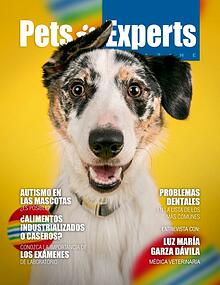 Pets Experts Magazine