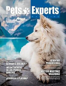 Pets Experts Magazine