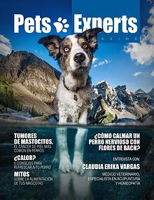 Pets Experts Magazine