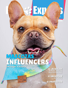 Pets Experts Magazine