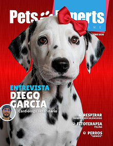 Pets Experts Magazine