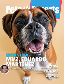 Pets Experts Magazine