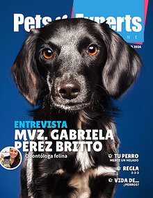Pets Experts Magazine