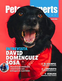 Pets Experts Magazine