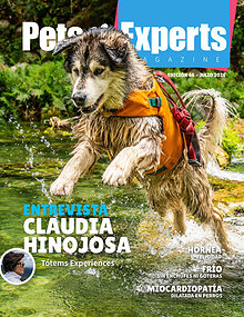 Pets Experts Magazine