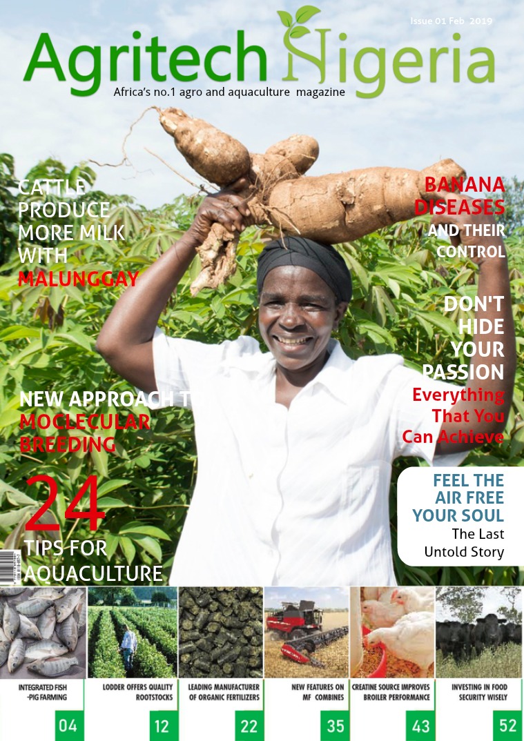 Demo Magazine Design for Nigeria Agro & Aquaculture Demo Magazine Design for Nigeria Agriculture