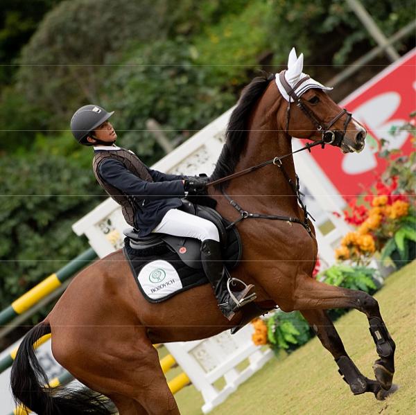 Concurso Internacional de salto GNP La Silla 2019 patrocinio