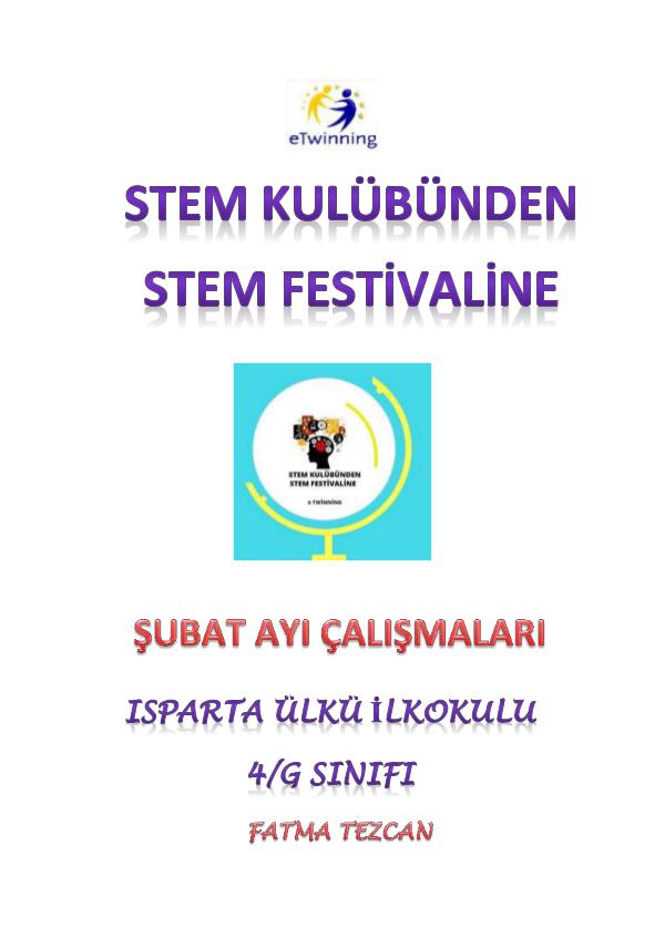 STEM KULÜBÜNDEN STEM FESTİVALİNE - ŞUBAT ÇALIŞMASI STEM