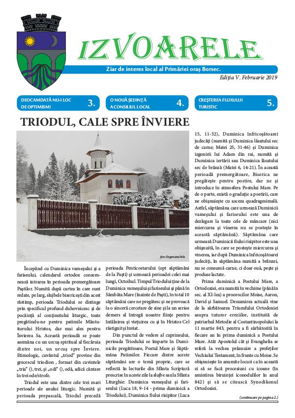Revista Izvoarele, februarie 2019.