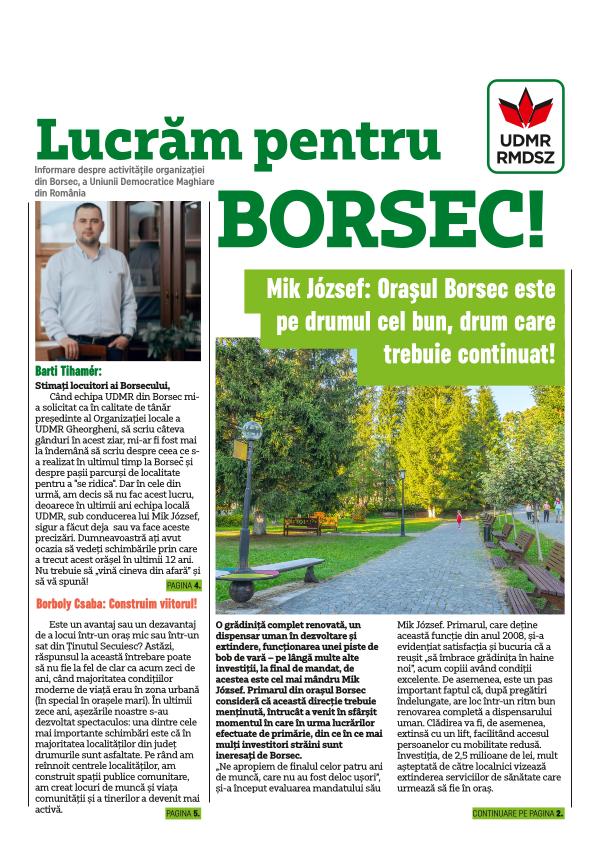 Informare despre activităţile UDMR Borsec