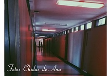 Fotografías chidas