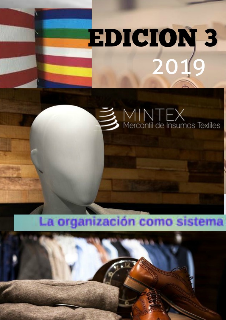 la organizacion como sistema