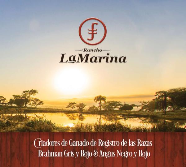 CATÁLOGO LA MARINA LA MARINA BAJA