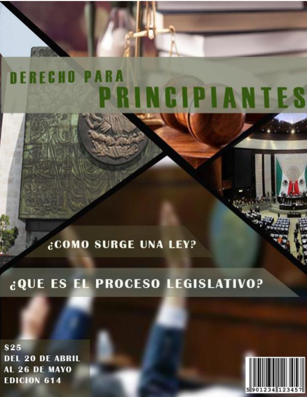 DERECHO PARA PRINCIPIANTES DERECHO PARA PRINCIPIANTES