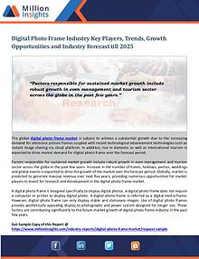 Digital Photo Frame Industry