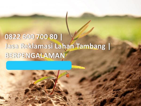 Jasa Reklamasi Lahan Tambang, 0822 600 700 80, TERMURAH 0822 600 700 80, Jasa Reklamasi Lahan Tambang, BER