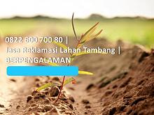 Jasa Reklamasi Lahan Tambang, 0822 600 700 80, TERMURAH