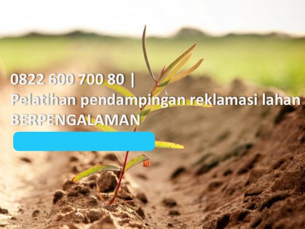 0822 600 700 80, pelatihan pendampingan reklamasi