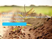 Jasa Reklamasi Lahan Tambang, 0822 600 700 80, TERMURAH