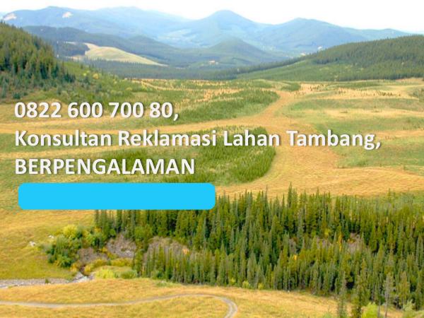 0822 600 700 80, Konsultan Reklamasi Lahan Tambang