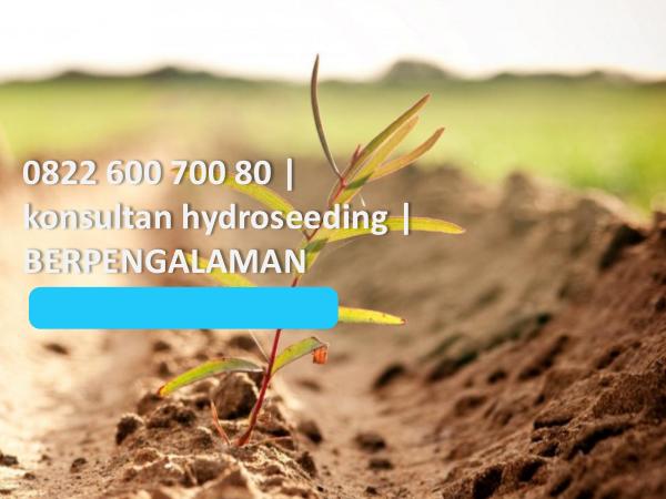 0822 600 700 80, konsultan hydroseeding, BERPENGAL