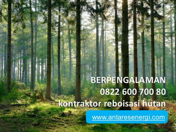 Jasa Reklamasi Lahan Tambang, 0822 600 700 80, TERMURAH BERPENGALAMAN, 0822 600 700 80, kontraktor reboisa