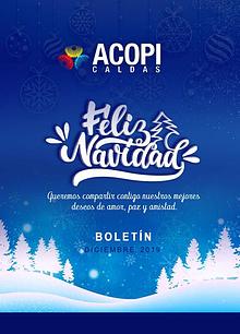 BOLETÍN DICIEMBRE - ACOPI CALDAS