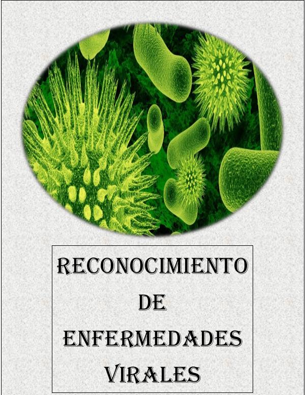 RECONOCIMIENTO DE ENFERMEDADES VIRALES VIROLOGIA (1)