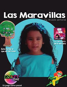 Revista